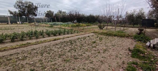 terreno agricolo in vendita a San Benedetto del Tronto in zona Sentina
