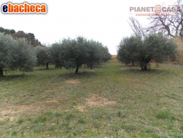 casa indipendente in vendita a San Benedetto del Tronto