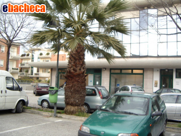 locale commerciale in vendita a San Benedetto del Tronto