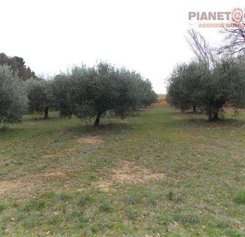 casa indipendente in vendita a San Benedetto del Tronto