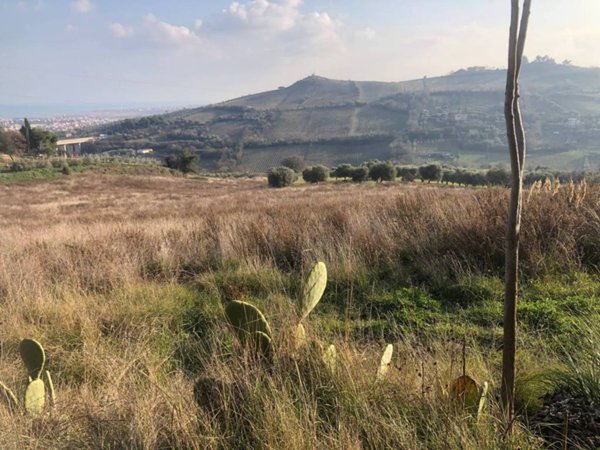 terreno agricolo in vendita a San Benedetto del Tronto