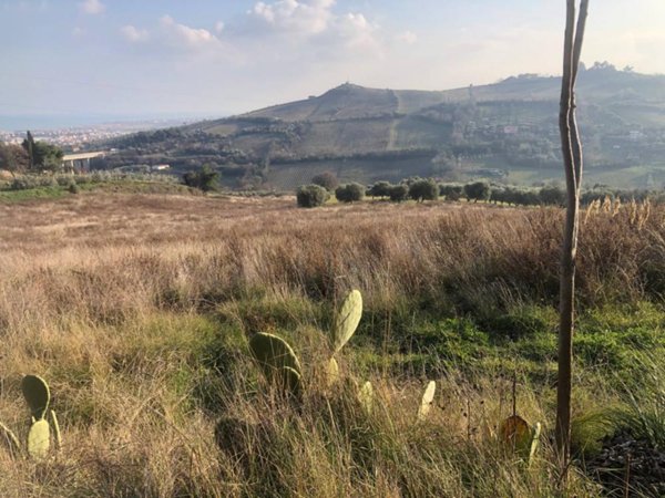 terreno agricolo in vendita a San Benedetto del Tronto