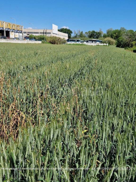 terreno agricolo in vendita a San Benedetto del Tronto