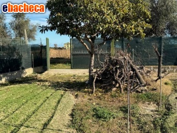 terreno agricolo in vendita a San Benedetto del Tronto in zona Sentina