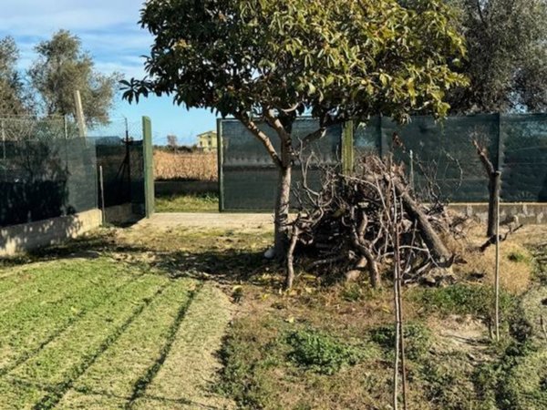 terreno agricolo in vendita a San Benedetto del Tronto in zona Sentina