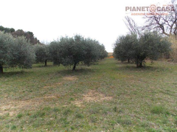 casa indipendente in vendita a San Benedetto del Tronto