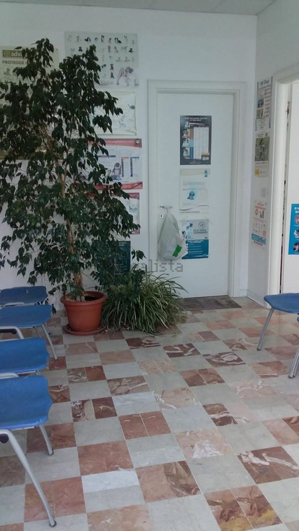 appartamento in vendita a San Benedetto del Tronto