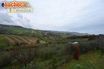 terreno agricolo in vendita a San Benedetto del Tronto