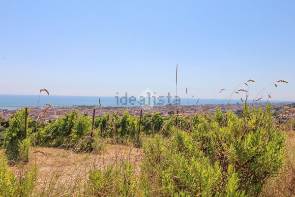 pentavano in vendita a San Benedetto del Tronto