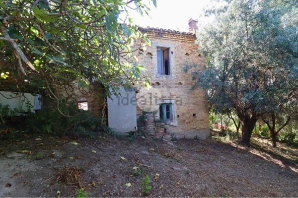 esavano in vendita a San Benedetto del Tronto