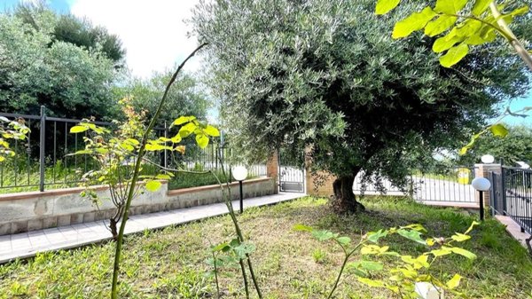 pentavano in vendita a San Benedetto del Tronto