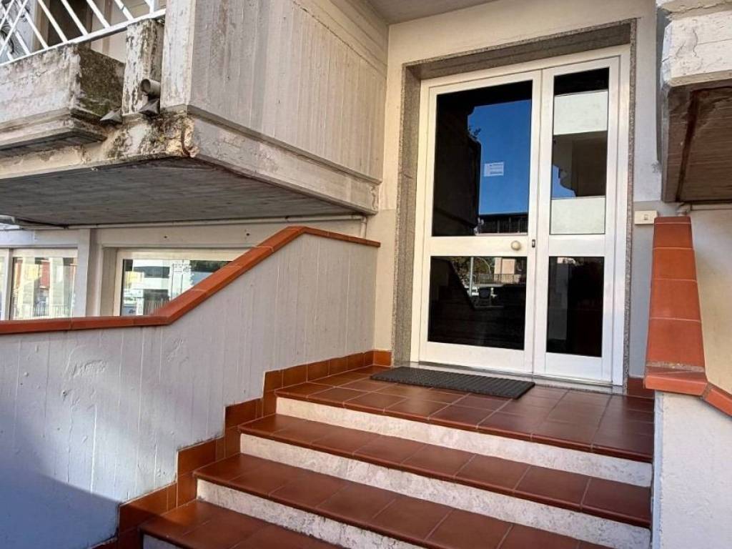 immagine annuncio 0 di 14