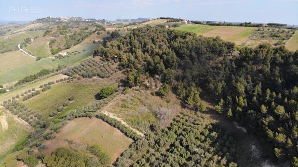 terreno agricolo in vendita a San Benedetto del Tronto