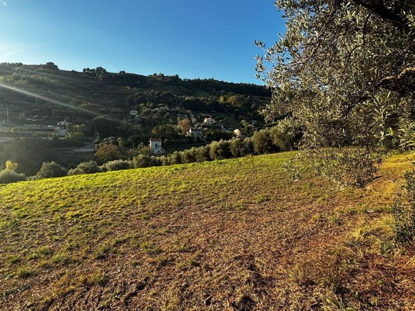 terreno agricolo in vendita a San Benedetto del Tronto