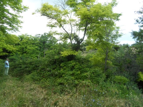 casa indipendente in vendita a San Benedetto del Tronto