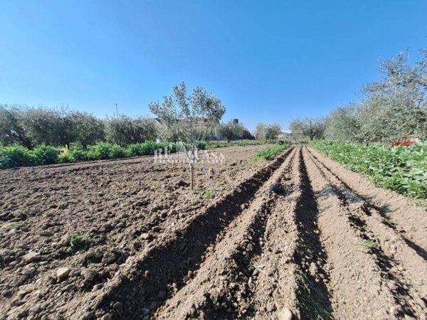 terreno agricolo in vendita a San Benedetto del Tronto in zona Sentina