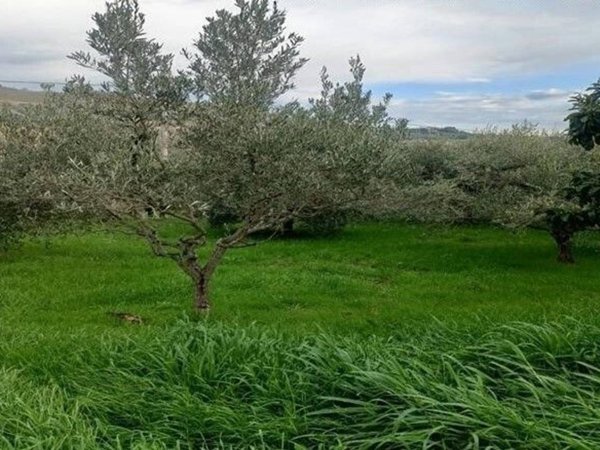 terreno agricolo in vendita a San Benedetto del Tronto