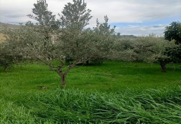 terreno agricolo in vendita a San Benedetto del Tronto