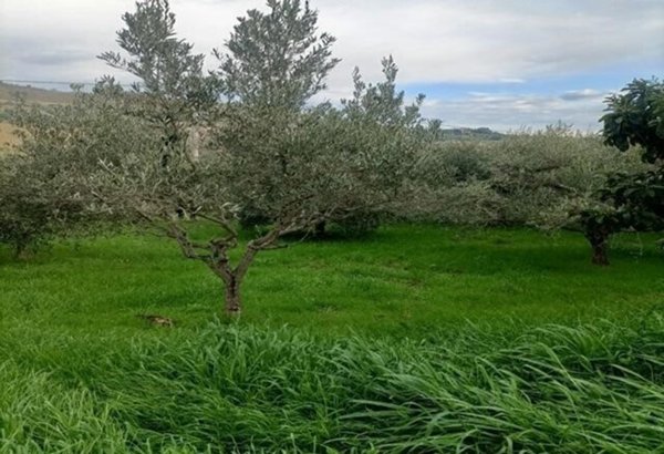 terreno agricolo in vendita a San Benedetto del Tronto