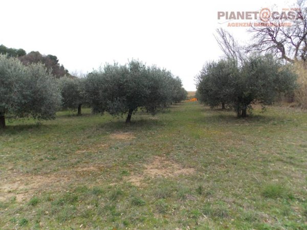casale in vendita a San Benedetto del Tronto