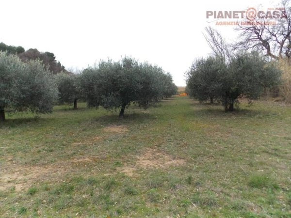 casale in vendita a San Benedetto del Tronto