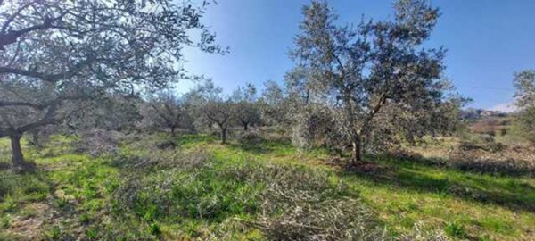 terreno agricolo in vendita a San Benedetto del Tronto
