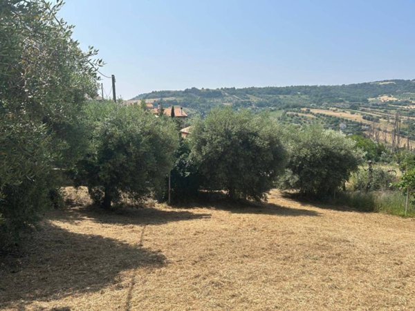 terreno agricolo in vendita a San Benedetto del Tronto