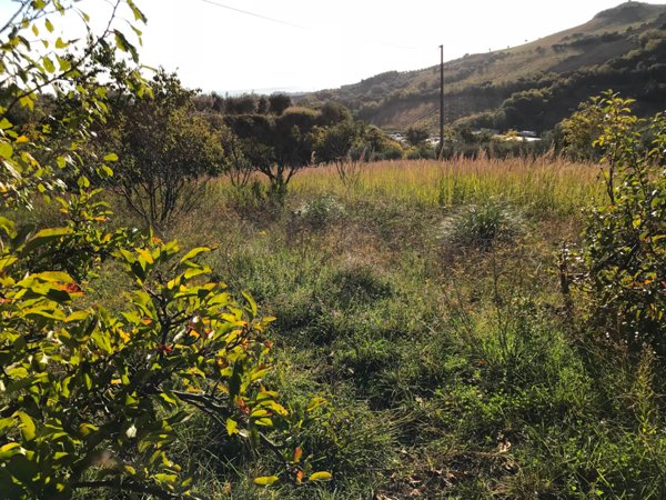 appartamento in vendita a San Benedetto del Tronto in zona Sentina