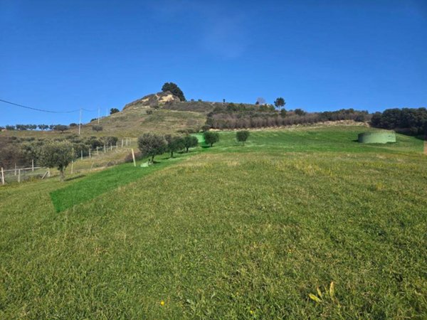 terreno agricolo in vendita a San Benedetto del Tronto in zona Sentina