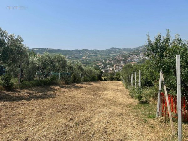 terreno agricolo in vendita a San Benedetto del Tronto