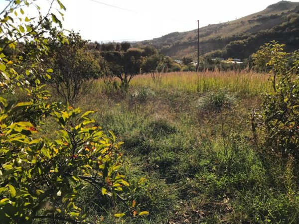 terreno agricolo in vendita a San Benedetto del Tronto in zona Sentina