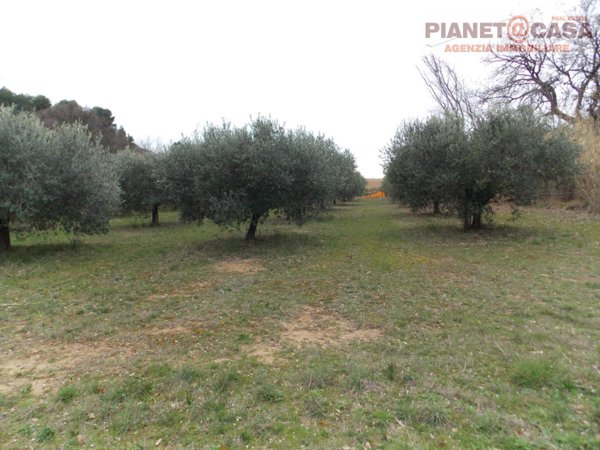 casa indipendente in vendita a San Benedetto del Tronto