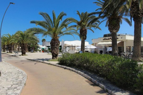 appartamento in vendita a San Benedetto del Tronto in zona Sentina
