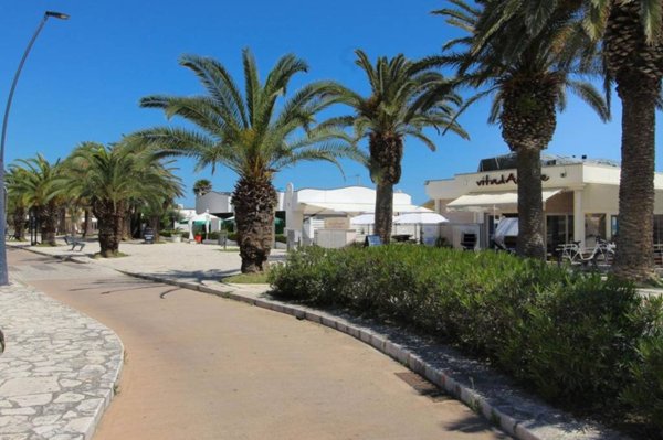 appartamento in vendita a San Benedetto del Tronto in zona Sentina