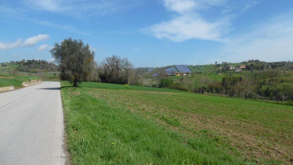 terreno agricolo in vendita a Spinetoli