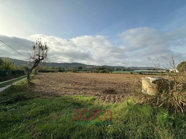 terreno agricolo in vendita a Spinetoli
