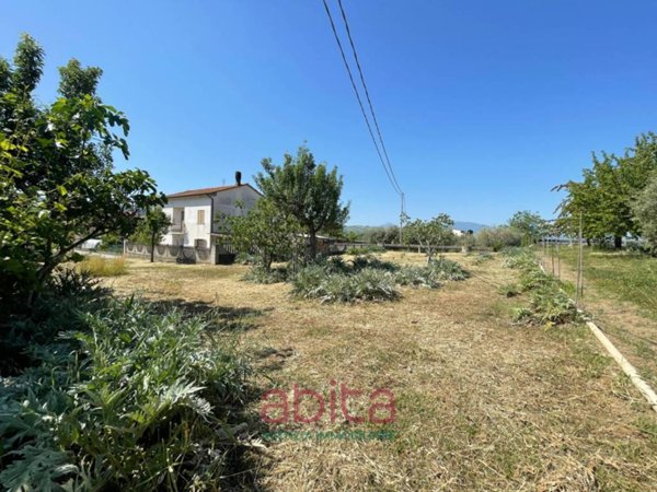 terreno agricolo in vendita a Spinetoli