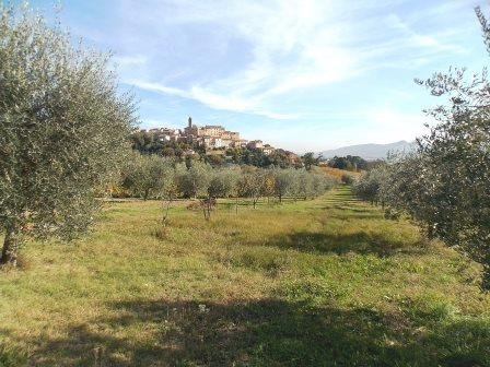 casa indipendente in vendita a Spinetoli in zona Pagliare