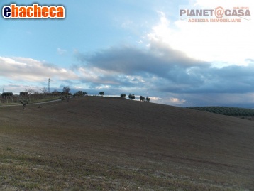 casa indipendente in vendita a Spinetoli in zona Pagliare