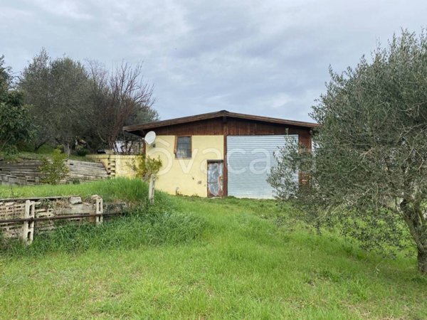 locale commerciale in vendita a Spinetoli