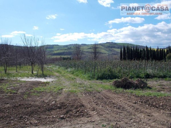 casa indipendente in vendita a Spinetoli