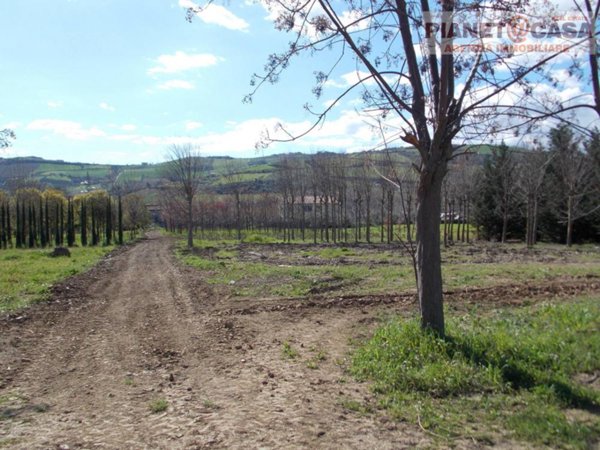 casa indipendente in vendita a Spinetoli