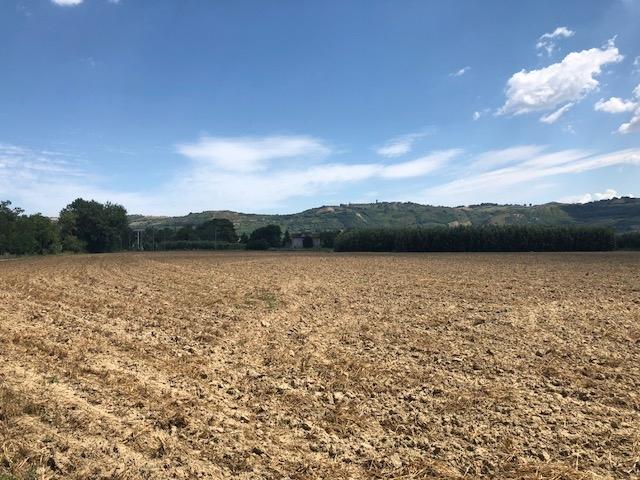 terreno agricolo in vendita a Spinetoli