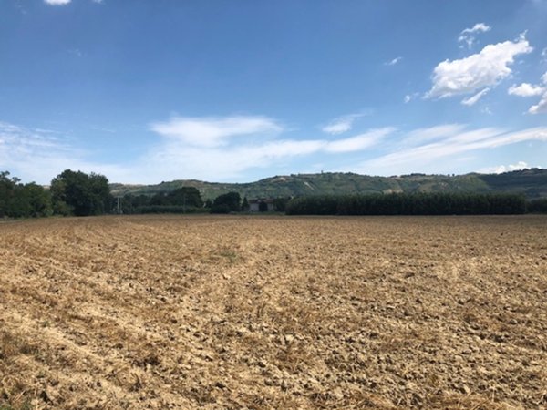terreno agricolo in vendita a Spinetoli in zona Pagliare