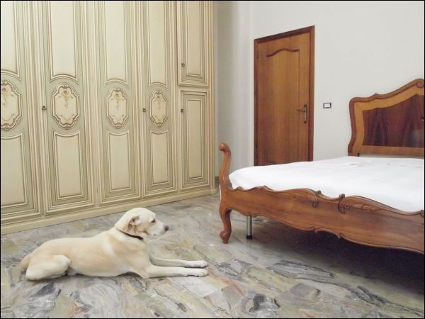 casa indipendente in vendita a Spinetoli