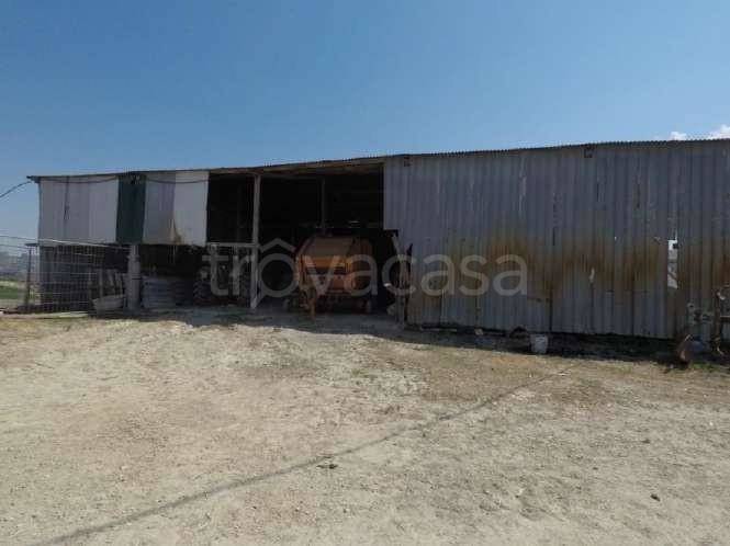 azienda agricola in vendita a Spinetoli