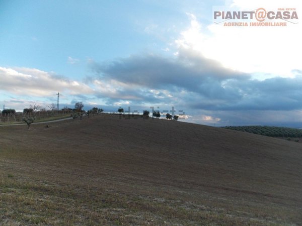 terreno agricolo in vendita a Spinetoli in zona Pagliare