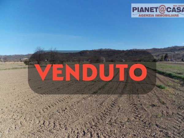 terreno agricolo in vendita a Spinetoli in zona Pagliare