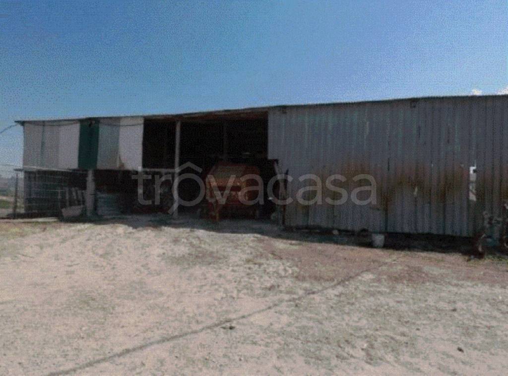 terreno agricolo in vendita a Spinetoli