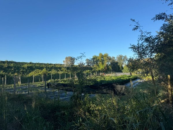 terreno agricolo in vendita a Spinetoli